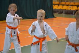 Letnia Szkoła Karate 2020